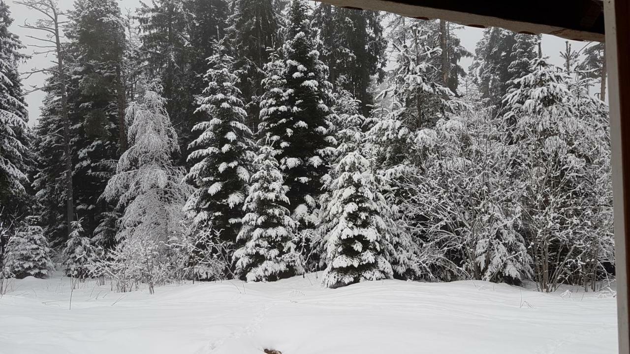 Chalet Taffski Borovets Exteriör bild