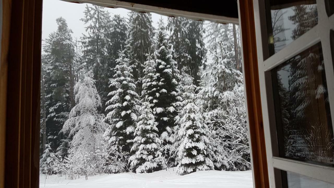 Chalet Taffski Borovets Exteriör bild